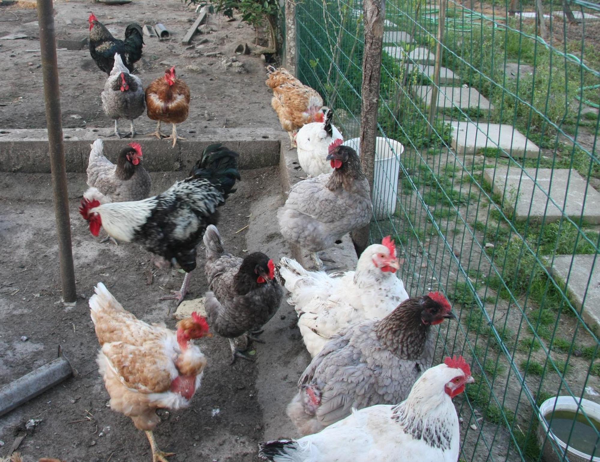 Gite Chez Mamie - 7 Personnes A Sainte Livrade Sur Lot Exterior photo